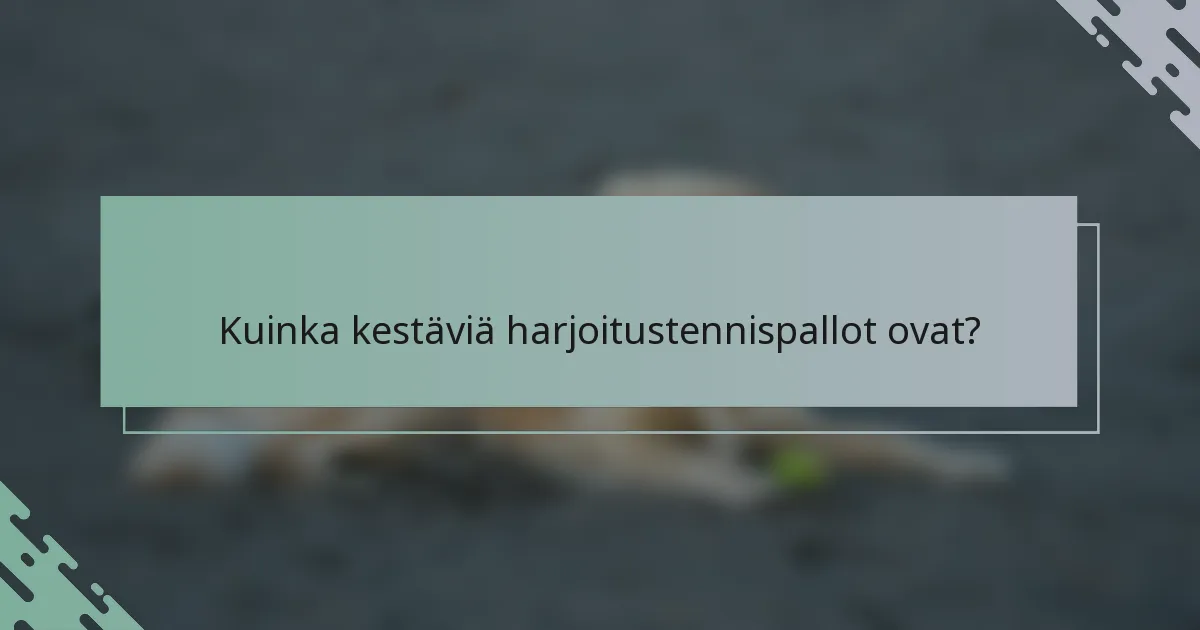 Kuinka kestäviä harjoitustennispallot ovat?