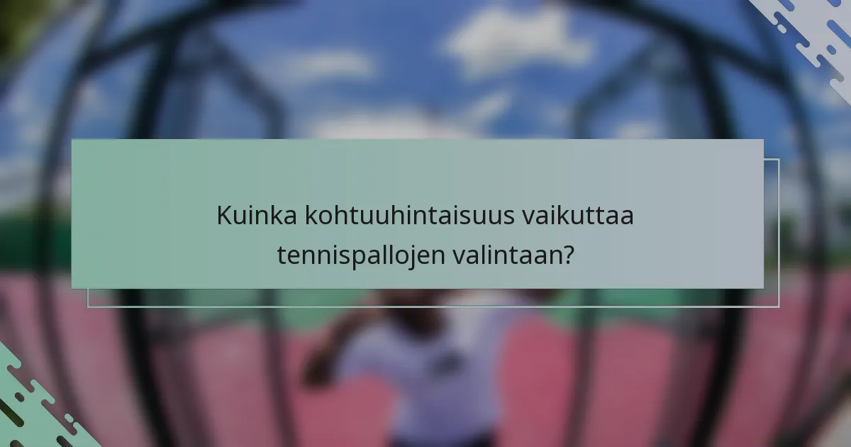 Kuinka kohtuuhintaisuus vaikuttaa tennispallojen valintaan?