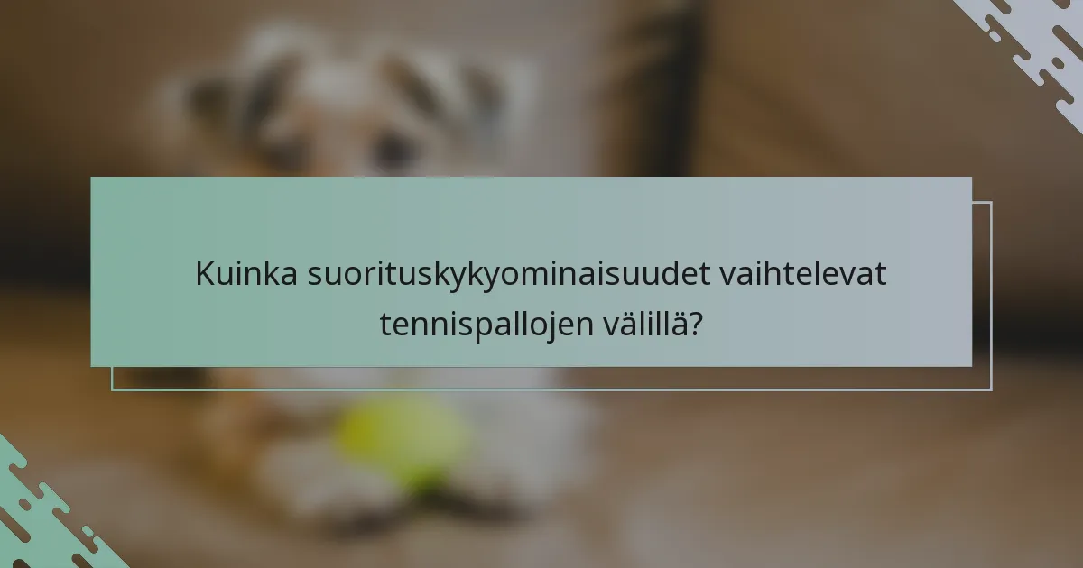 Kuinka suorituskykyominaisuudet vaihtelevat tennispallojen välillä?
