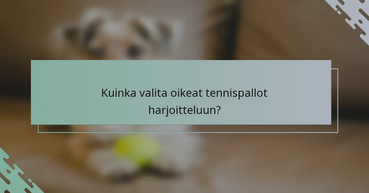 Kuinka valita oikeat tennispallot harjoitteluun?