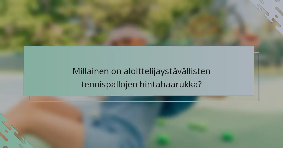 Millainen on aloittelijaystävällisten tennispallojen hintahaarukka?