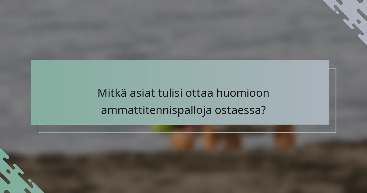 Mitkä asiat tulisi ottaa huomioon ammattitennispalloja ostaessa?
