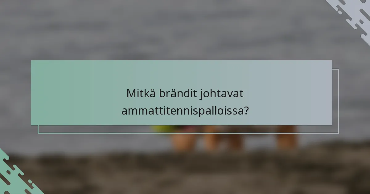 Mitkä brändit johtavat ammattitennispalloissa?