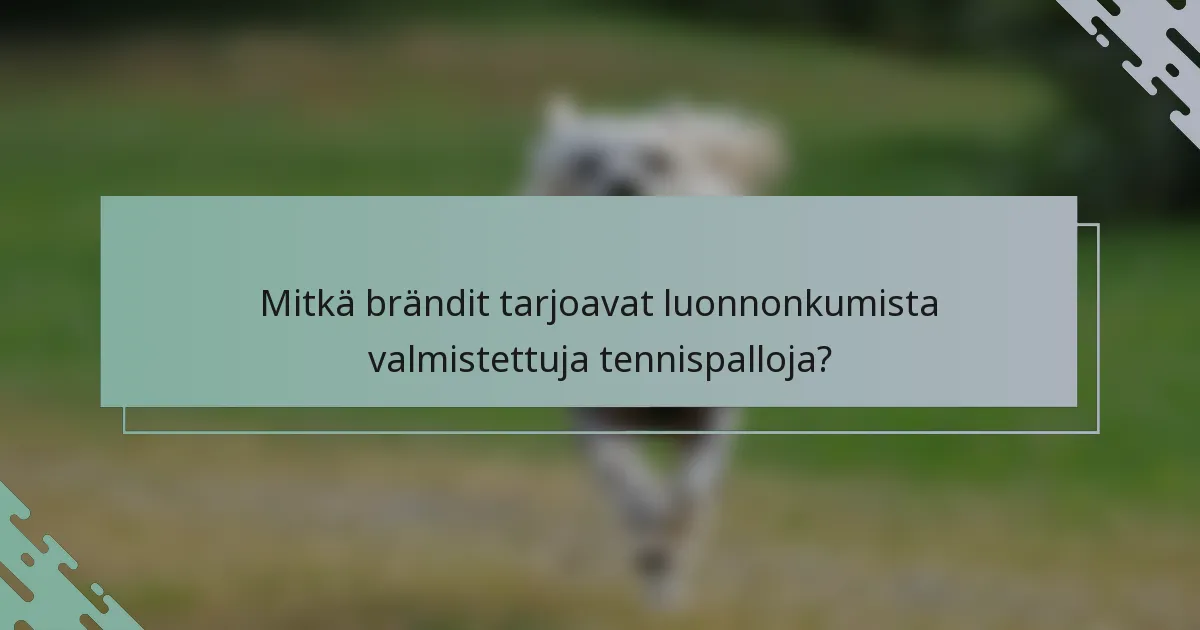 Mitkä brändit tarjoavat luonnonkumista valmistettuja tennispalloja?