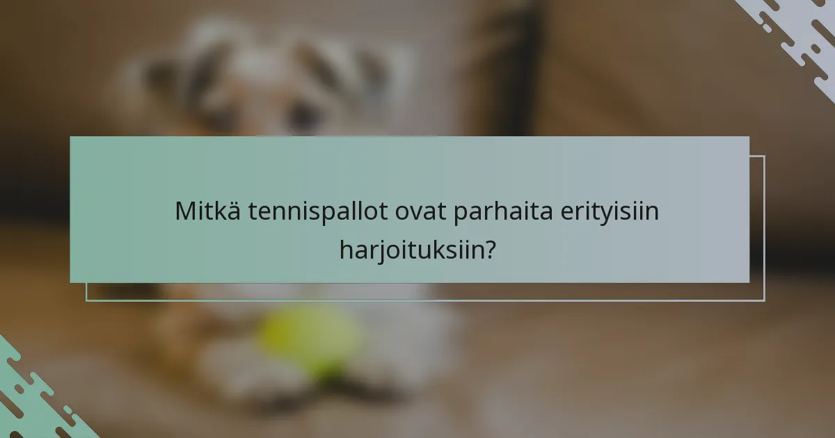 Mitkä tennispallot ovat parhaita erityisiin harjoituksiin?