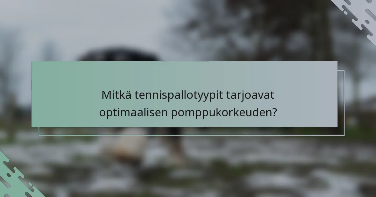 Mitkä tennispallotyypit tarjoavat optimaalisen pomppukorkeuden?